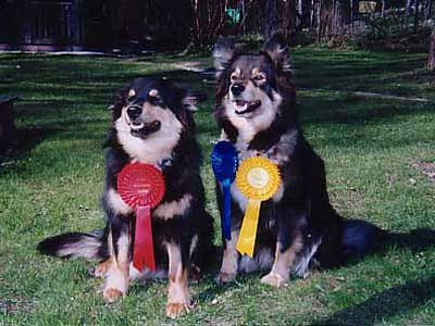2002 katselmuksen ruusukkeet