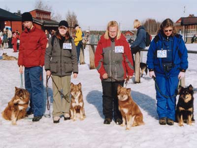 Dibin ja Lallin lapset, sisarukset