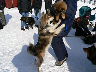 Etk&ouml; jo tule?