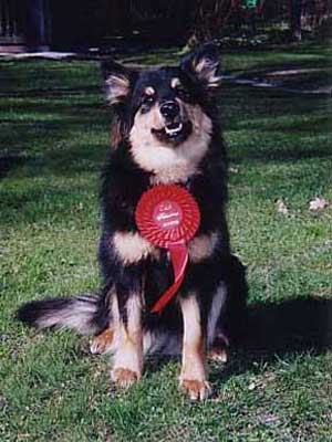 Villi-Joikhu Nappisilm�